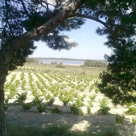 Residencial Torrealmar Con Vistas Torrevieja