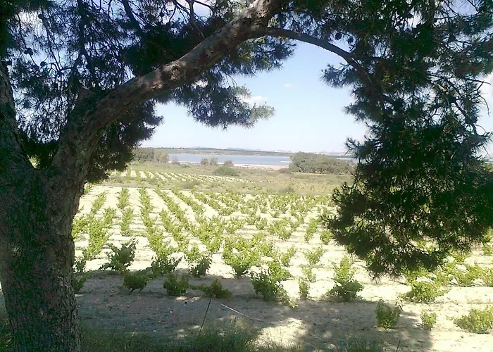 Residencial Torrealmar Con Vistas Torrevieja